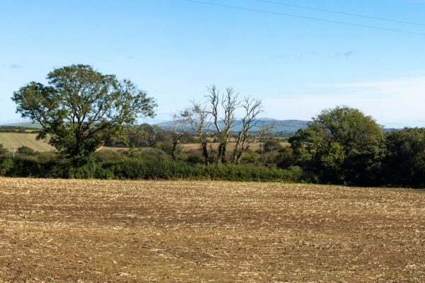 Haverfordwest, SA62 5QE